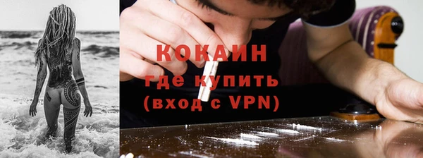 PSILOCYBIN Дмитриев