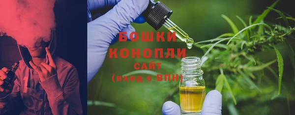 PSILOCYBIN Дмитриев