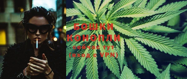 крисы Дмитров